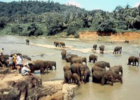 Sri Lanka Ayurveda Reise